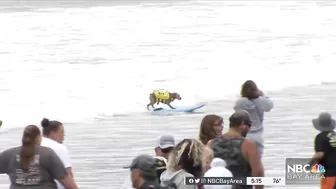 Crowds Pack Pacifica Beach for World Dog Surfing Championships