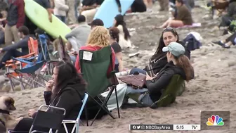 Crowds Pack Pacifica Beach for World Dog Surfing Championships