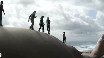 GIANT's body is found on the beach and becomes a tourist attraction - RECAP