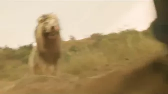 Lion Attack Scene - BEAST (2022)