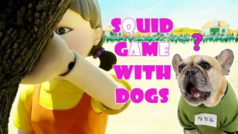 What Happens When Dogs Play Squid Game???????Funny Dog Parody