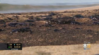 New Theory Surfaces Regarding Cause of Oil Spill at Huntington Beach