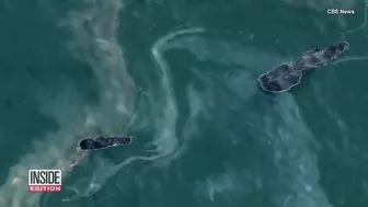 Surfers Catch Huntington Beach Waves Despite Oil Spill