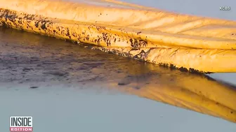 Surfers Catch Huntington Beach Waves Despite Oil Spill