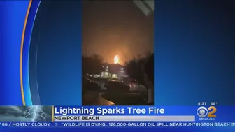 Southland Lightning Storm Downs Tree In Bel Air, Sparks Tree Fire In Newport Beach