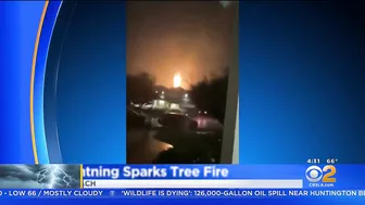 Southland Lightning Storm Downs Tree In Bel Air, Sparks Tree Fire In Newport Beach