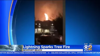 Southland Lightning Storm Downs Tree In Bel Air, Sparks Tree Fire In Newport Beach