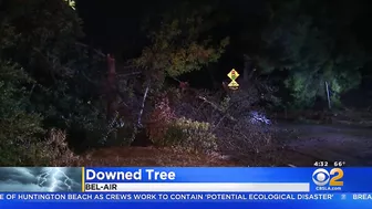 Southland Lightning Storm Downs Tree In Bel Air, Sparks Tree Fire In Newport Beach