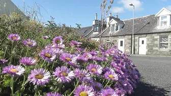 Port William (Mini Travel Guide) - An Idyllic Fishing Village on the Galloway Coast