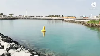 Astonishing beach scenes in Abudhabhi ,capital of UAE.Relaxing and Refreshing views of beach.