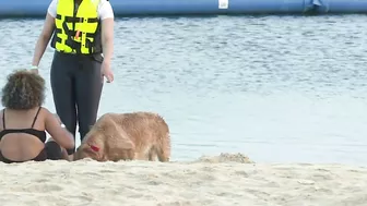 "Pure Beach" en Arabia Saudita, la playa donde las mujeres pueden usar bikini | AFP