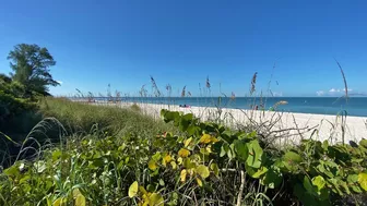 Friday Morning Beach Views from the Boardwalk at Delnor-Wiggins Pass State Park 10/15/21