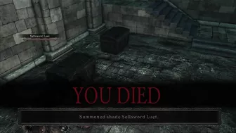 Thank you Dark Souls compilation 192