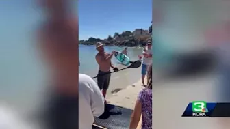 Paddleboarder and dog attacked by shark off Lovers Point Beach in Pacific Grove: Witness