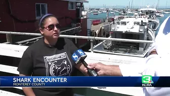 Paddleboarder and dog attacked by shark off Lovers Point Beach in Pacific Grove: Witness