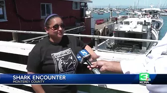 Paddleboarder and dog attacked by shark off Lovers Point Beach in Pacific Grove: Witness