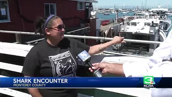 Paddleboarder and dog attacked by shark off Lovers Point Beach in Pacific Grove: Witness