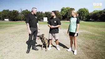 Cricketer vs dog in fielding challenge – who will win? | The Hundred