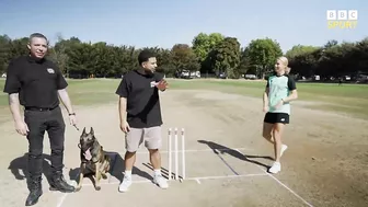 Cricketer vs dog in fielding challenge – who will win? | The Hundred