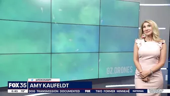 Video: Drone spots hundreds of sharks swimming near shore of Florida beach