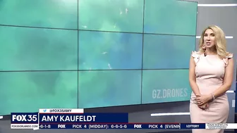 Video: Drone spots hundreds of sharks swimming near shore of Florida beach