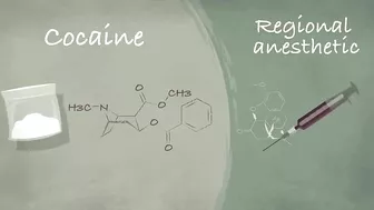 How does anesthesia work? - Steven Zheng