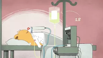 How does anesthesia work? - Steven Zheng