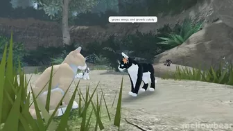 Expectation VS Reality #2 | Warrior Cats: Ultimate Edition (ROBLOX)