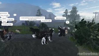 Expectation VS Reality #2 | Warrior Cats: Ultimate Edition (ROBLOX)