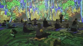 Vincent van Gogh yoga comes to Sacramento