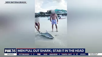 Video: Men catch shark at Florida beach, stab it in the head -- here's why it's legal