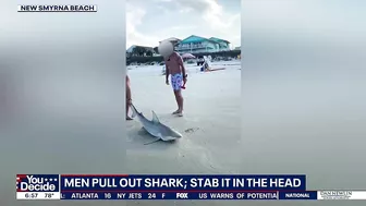 Video: Men catch shark at Florida beach, stab it in the head -- here's why it's legal