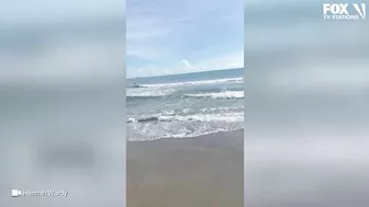 Video: Shark spotted swimming just feet from shore at Florida beach