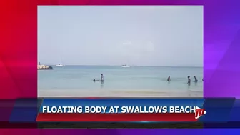 Floating Body At Swallows Beach