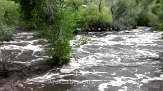 Uttarakhand Flood And Landslide Compilation : Mother nature angry caught on camera