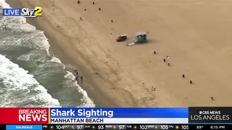 Shark sighting in Manhattan Beach, near Rosecrans lifeguard tower