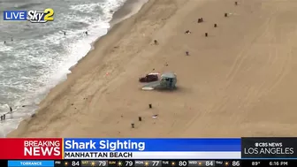 Shark sighting in Manhattan Beach, near Rosecrans lifeguard tower