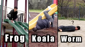 How Animals Go Down a Slide (Part 1-3) (Funny Compilation)