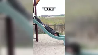 How Animals Go Down a Slide (Part 1-3) (Funny Compilation)