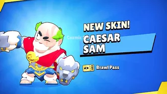 Sam's Animation, Skin, Custom Pins & More | Brawl Stars Season 14 #robotfactory