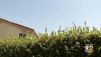 Huntington Beach mom concerned over drone peering into home