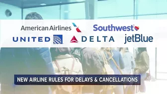 Airlines Rolling Out Updated Policies After Summer Travel Chaos