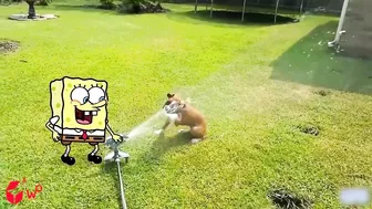 Spongebob Messing Around With Statues ???? Spongebob in Real Life | Funny Fails Video