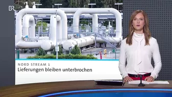 Kein russisches Gas durch Nord Stream 1: Warum dann auch Schweine leiden | BR24