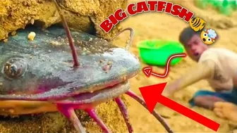 Funny hand fishing video ???????? catfish ????#incredible_fishing #shorts