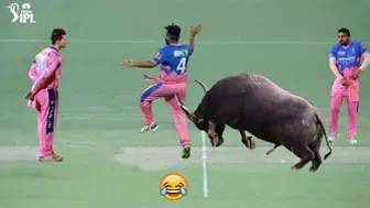 TOP 10 MOST FUNNY MOMENTS IN CRICKET HISTORY EVER