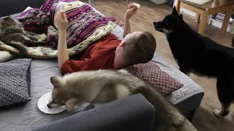 I Shocked My Husky Dogs! Funny Puppy Resolved The Situation