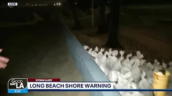 Long Beach shore warning