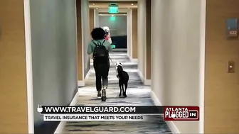 Plan Your Next Vacation With Travel Guard