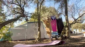 Começando o dia assim! #stretching #ioga #outdooryoga #camping #camp